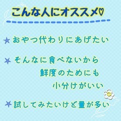 無添加デュビア Ｌサイズ 500円の画像