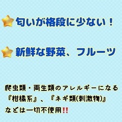無添加デュビア Ｌサイズ 500円の画像