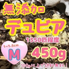 無添加デュビア Mサイズ 450g