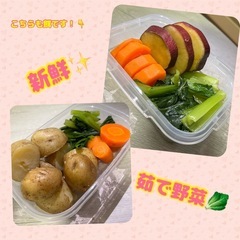 無添加デュビア Mサイズ 100gの画像