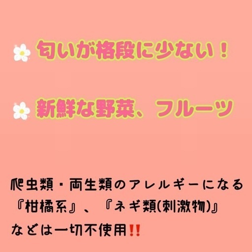 無添加デュビア Mサイズ 500g