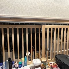 キャット防止扉
