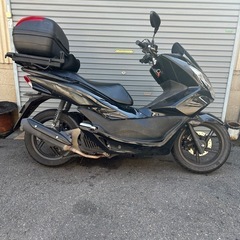 PCX自賠責つき！シート新品！