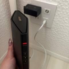 バッファロールーターの画像