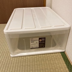 収納ケース　衣装ケース
