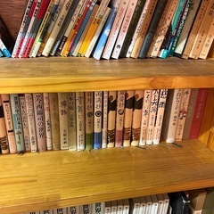 美術本　図鑑　小説等の画像