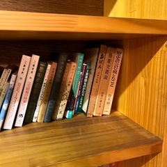 美術本　図鑑　小説等の画像