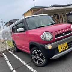 人気ハスラーです！