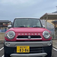 人気ハスラーです！の画像