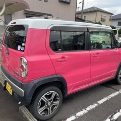人気ハスラーです！の画像
