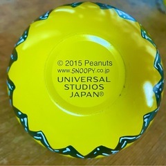 チャーリーブラウン　小物入れの画像
