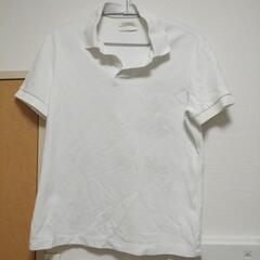 ポロシャツL