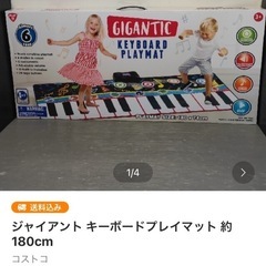 数回使用★ジャイアントピアノマット