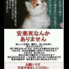 ボランティアン