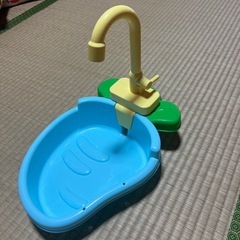 インコ 水遊び