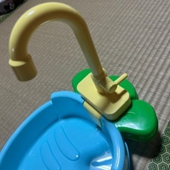 インコ 水遊びの画像