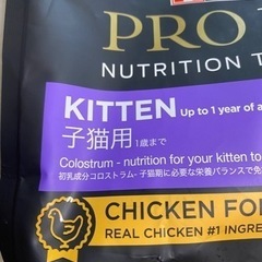 キャットフード 子猫用の画像