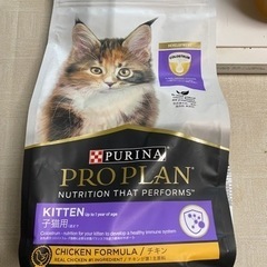 キャットフード 子猫用