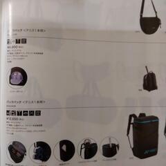 背負いバック(YONEX)