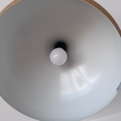 ニトリ　ラルムの画像