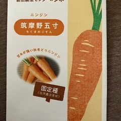ニンジンの種おすそ分けの画像