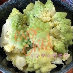 YouTube更新www