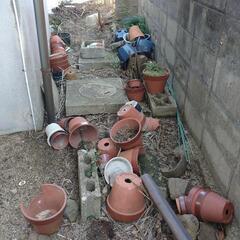 3月16日まで、庭に落ちてるもの全て無料！