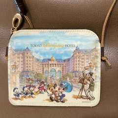 ディズニーランドホテルのパスケースの画像