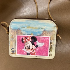 ディズニーランドホテルのパスケースの画像