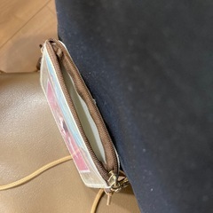 ディズニーランドホテルのパスケースの画像