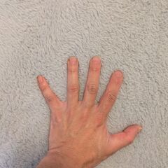 モコモコカーペットの画像