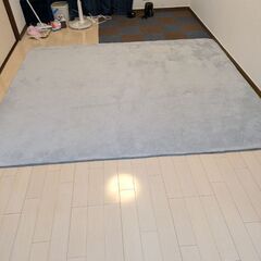 モコモコカーペット