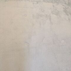 モコモコカーペットの画像