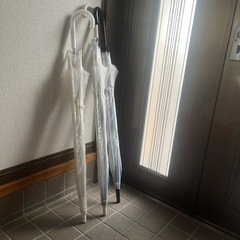 ビニール傘3本セット