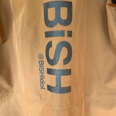 GU×BISH   マウンテンパーカーの画像