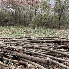 残り一名様！クヌギ薪の画像