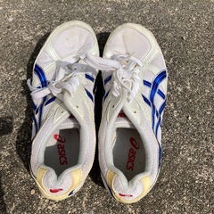 陸上スパイクレディース25cmの画像