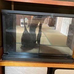 テレビ台