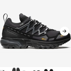 SALOMONサロモン 27cm