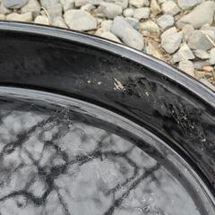 花器の画像