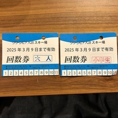 グリーンピア大沼 スキー回数券