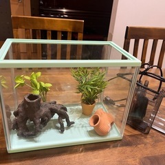 小魚飼育水槽一式