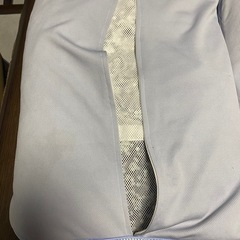 2つセット　脱臭炭練り込みストロービーズ入り　カバー付き洗える枕　の画像