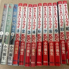 銀盤騎士、キスアンドネバークライ
