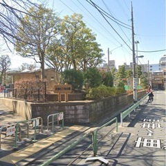 可愛いお弁当とおにぎりの本の画像