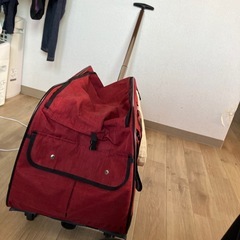 伸縮式ハンドル付き　小型〜中型犬ペットカート　キャリーケースの画像