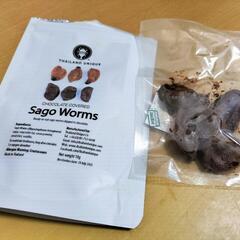 【決まりました】昆虫食サゴワームチョコ