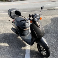 決まりました！たくさんのお問い合わせありがとうございました！