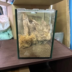 水槽の画像