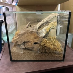 水槽の画像